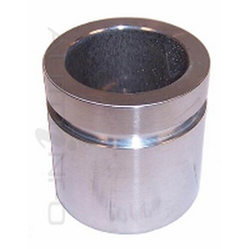 New Genuine PROTEX Disc Caliper Piston - Rear #090P0489