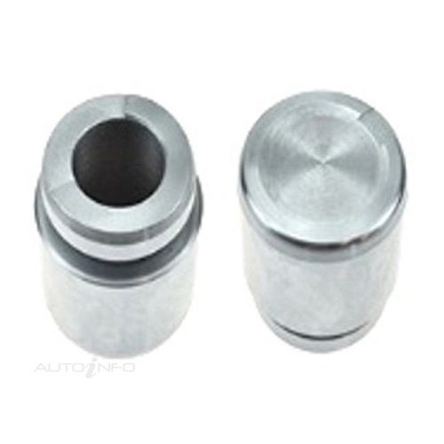 New Genuine PROTEX Disc Caliper Piston - Rear #090P0646