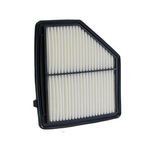 New Genuine RYCO Dust Holidng Air Filter #A1879