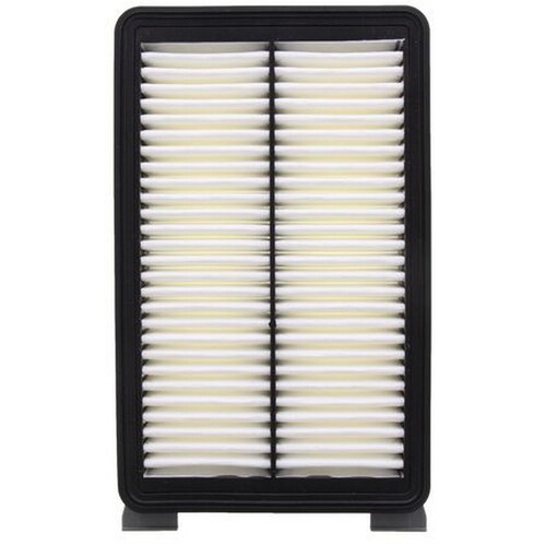 New Genuine RYCO Dust Holidng Air Filter #A1917