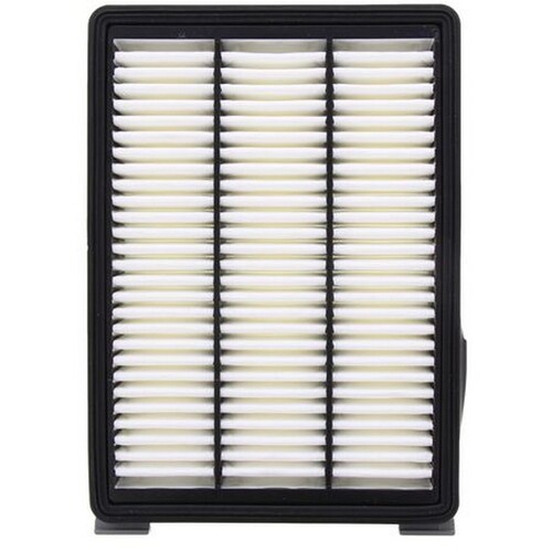 New Genuine RYCO Dust Holidng Air Filter #A1918