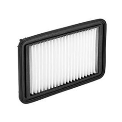 New Genuine RYCO Dust Holidng Air Filter #A1924
