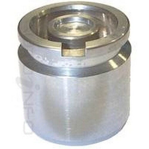 New Genuine PROTEX Disc Caliper Piston - Rear #DB2925