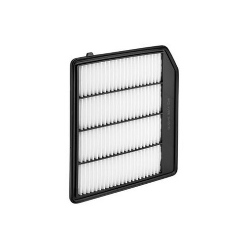 New Genuine RYCO Air Filter  #A1998