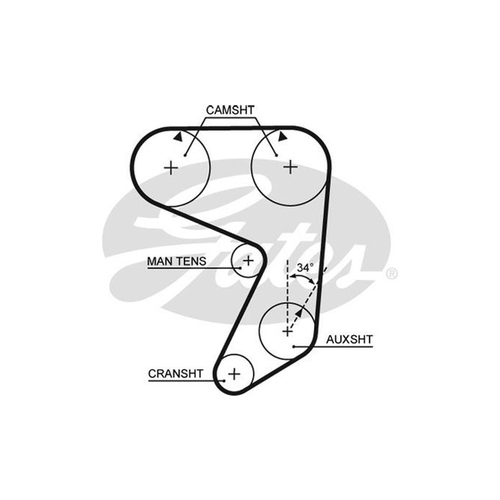 New Genuine GATES Timing Belt  #T019